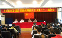 evo视讯游戏集团庆祝建党九十周年“七一”表彰大会